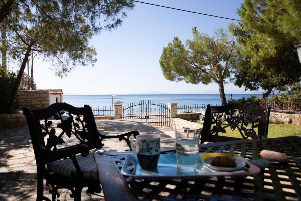 Seaside Haven Kineta Villa Eksteriør bilde